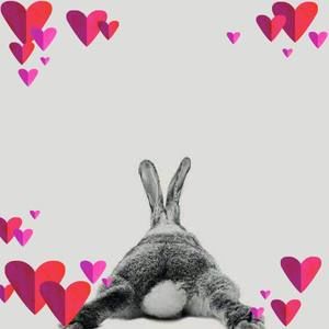 Meet your Posher, Liesel